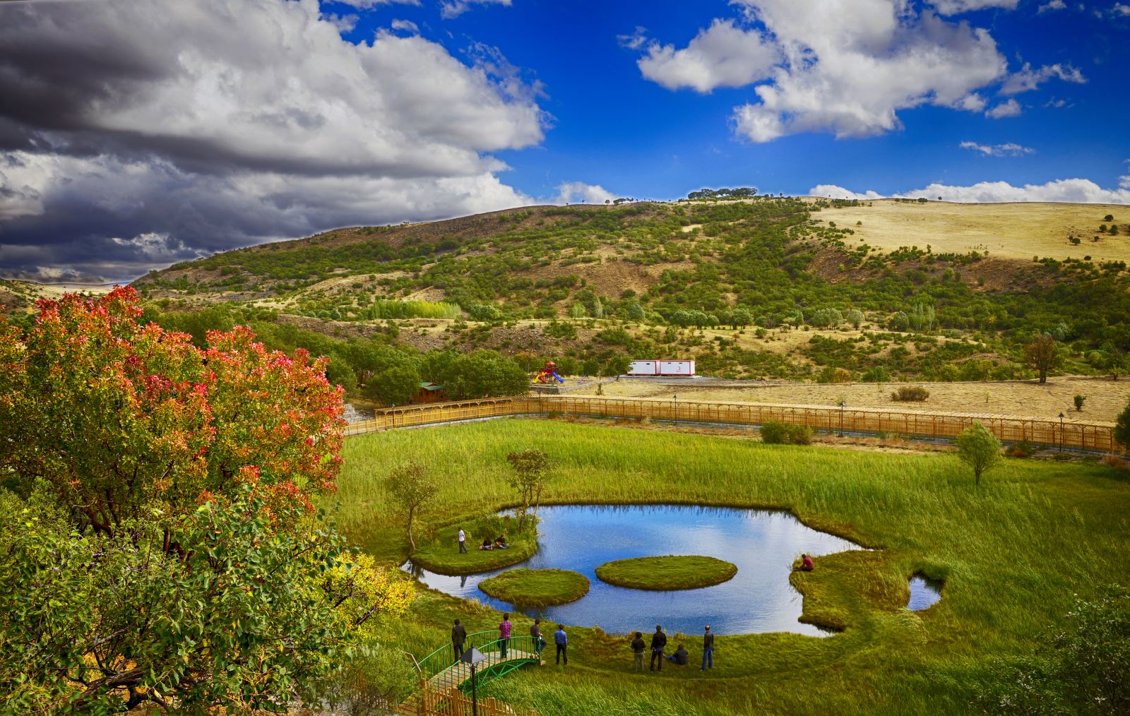 Yaqin planda gozal mushuk